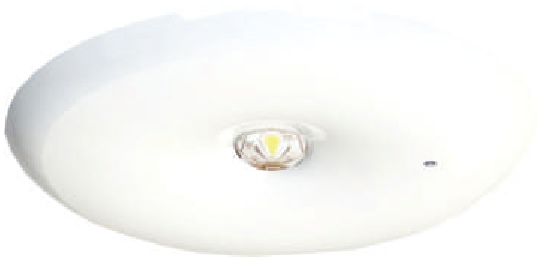 İSTALUCE GİNE ACİL DURUM AYDINLATMA ARMATÜRÜ