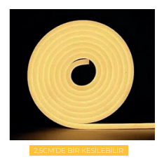 MOLLED 12V NEON LED MOL2513