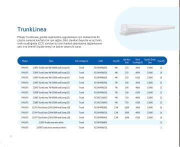 PHILIPS 13W 120CM LED BANT ARMATÜR