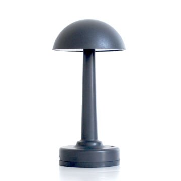 Lalumi Lamba PRO Kablosuz Şarjlı Pilli Masa Lambası Mat Pleo 2x2000mAh