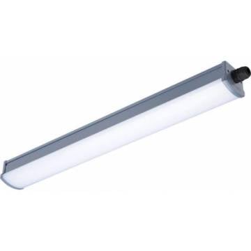 PHILIPS WT066C 19,4W 60CM  IP65 LED ETANJ 840 (4000K)