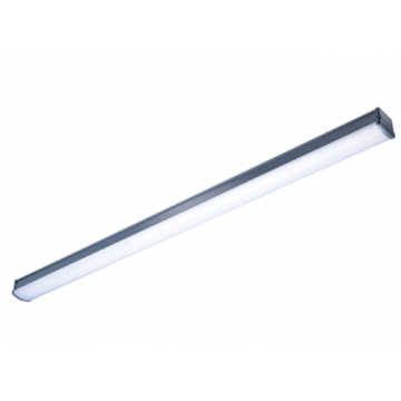PHILIPS WT066C 44W 150CM  IP65 LED ETANJ 840 (4000K)